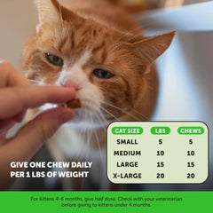 Cat Urinary Tract Health Crunchy & Creamy Chews - Promotes Healthy Digestion & Normal Bladder Function with Cranberry, Antioxidants, & Probiotics - Kidney + Bladder Support Supplement (30 Day Supply)