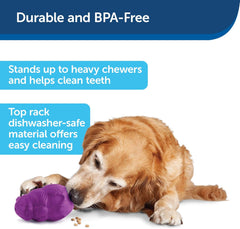 PetSafe Busy Buddy Squirrel Dude Dog Toy - Treat Dispensing Toy – Large