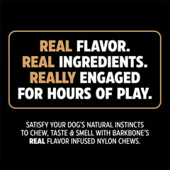 Pet Qwerks Dinosaur BarkBone - Nylon Dog Bone for Aggressive Chewers - Bacon Flavor