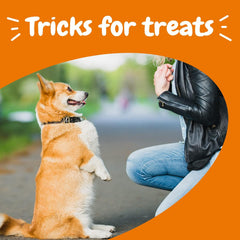Zesty Paws Training Treats for Dogs - Training Treats for Puppies - Hip, Joint & Muscle Health - Immune, Brain, Heart, Skin & Coat Support - with Fish Oil Omega 3 Fatty Acids - Bacon Flavor – 8oz