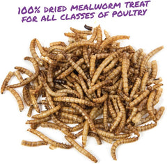 Manna Pro Mealworm Munchies, 10 oz