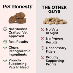 Pet Honesty Allergy Skin Health - Allergy Itch Relief, Fish Oil for Dogs, Probiotics for Healthy Skin, Shiny Coats, Helps Reduce Normal Shedding, Soft Chews for Healthy Skin & Coat - 90 Ct (Salmon)
