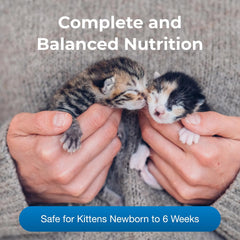 PetLac Powder for Kittens - 10.5 oz - Kitten Milk Replacement Powder for Kittens Newborn to Six Weeks Old - Easy to Digest