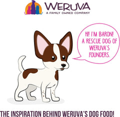 Weruva Best Fido Friend Fun Size Meals for Dogs, Oh So Nice 2.75-oz(Pack of 12)