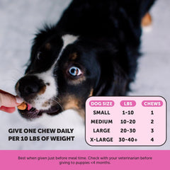 Pet Honesty Multivitamin Puppy Treats - Essential Dog Supplements & Vitamins for Learning and Cognitive Development- Probiotics, Omega Fish Oil for Health, Heart & Immunity - Dog Health Supplies