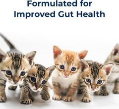 Pet-Ag KMR Kitten Milk Replacer Liquid - 11 oz - Ready-to-Feed Kitten Formula with Vitamins for Kittens Newborn to Six Weeks Old - Easy to Digest