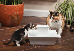 Drinkwell - PetSafe Drinkwell Pagoda Ceramic Cat & Dog Water Fountain, 70oz Capacity, Encourages Hydration, Open Bowl Design, White