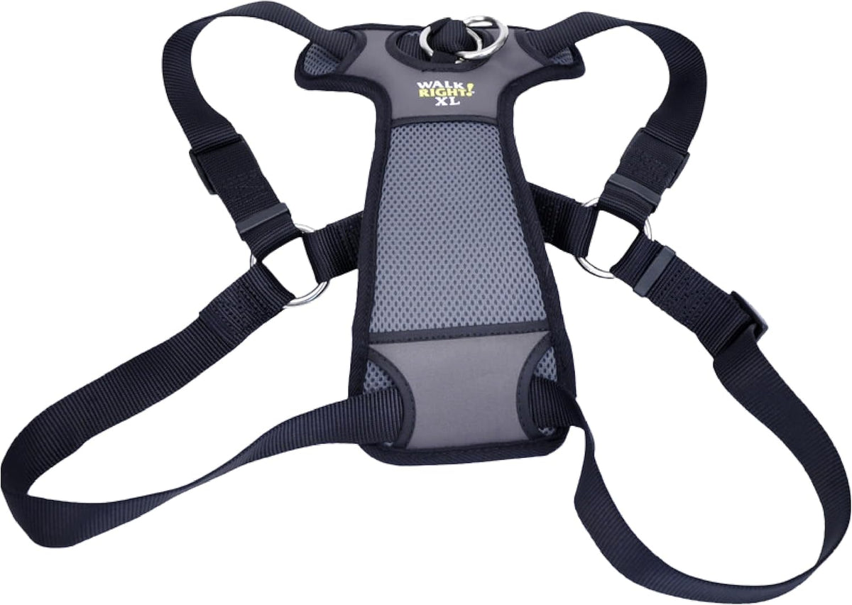 Coastal Pet Walk Right Front-Connect No-Pull Padded Dog Harness - Adjustable & Comfortable Dog Harness - Small & Large Breed Fit - Quality Pet Supplies - Black