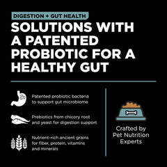 Go! Solutions Digestion + Gut Health, Dry Dog Food, Chicken Recipe with Ancient Grains