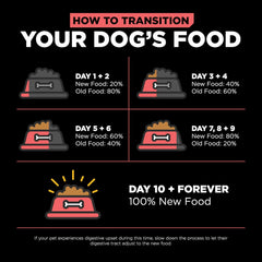 Go! Solutions Carnivore, Grain-Free, Protein Rich Dry Dog Food, Salmon and Cod Recipe