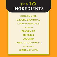 AvoDerm Natural Dry Dog Food, For Skin & Coat, Chicken & Rice Formula