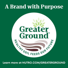 Nutro Wholesome Essentials Adult Dry Cat Food, Salmon & Brown Rice Recipe