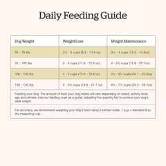 Now Fresh Grain-Free Large Breed Dry Dog Food with Turkey, Salmon & Duck Chicken-Free, Glucosamine & Chondroitin for Healthy Joints 25 lb