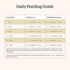Now Fresh Grain-Free Small Breed Dry Dog Food with Turkey, Salmon & Duck, Healthy Kibble for Adults Made with Real Meat & Fish, Chicken-Free Recipe, Pumpkin & Probiotics for Good Digestion
