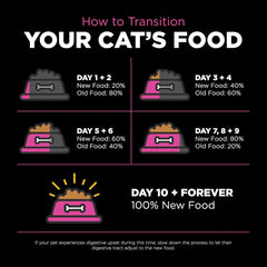 Go! Solutions Skin + Coat Care, Dry Cat Food, Chicken Recipe with Grains, 3 lb Bag