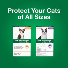 Advantage™ for Small Cats – 2-Month Supply