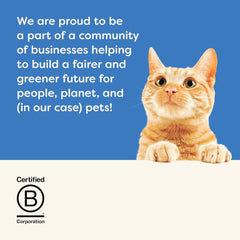 Applaws Natural Wet Cat Food – Tuna Fillet with Seaweed in Broth (24 Pack, 5.5 oz Cans)