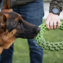 Jolly Pets® Tik Tak Tugzz Rope Dog Toy – O-Shaped
