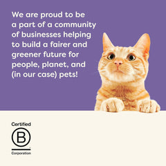 Applaws Lickable Cat Treats – Variety Pack (Chicken, Tuna & Salmon) 60 x 0.5 oz Sachets