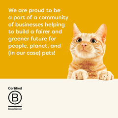 Applaws Natural Wet Cat Food – Chicken Breast with Pumpkin in Broth (24 x 5.5 oz Cans)