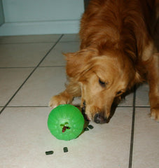 Starmark Treat Dispensing Chew Ball Tough Dog Toy, Medium/Large