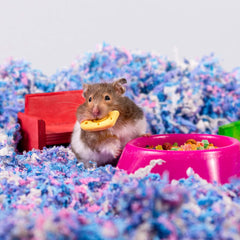 Americas Choice Uber Soft Paper Pet Bedding for Small Animals, Confetti, 36L