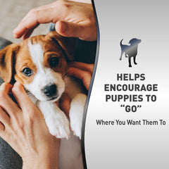 Nature’s Miracle Advanced Platinum Puppy Potty Training Spray, Dog Training Aid