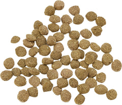 Supreme Petfoods Tiny Friends Farm Gerty Guinea Pig Tasty Nuggets