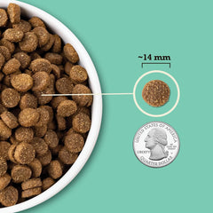 ACANA Wholesome Grains Dry Dog Food, Lamb & Pumpkin Recipe