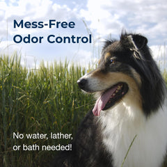 Fresh N Clean - PetAg Fresh ’n Clean Cologne Spray - Floral Scent - 12 oz - Controls Odor & Keeps Dogs Smelling Fresh