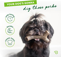 Benebone Maplestick Durable Dog Chew Toy for Aggressive Chewers, Real Maplewood, Made in USA