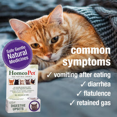 HomeoPet Feline Digestive Upsets, Safe and Natural Cat Digestive Support, 15 Milliliters