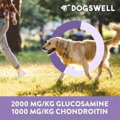 DOGSWELL Hip & Joint Dog Treats 100% Meaty, Grain Free, Glucosamine Chondroitin & Omega 3, Chicken Soft Strips 12 oz