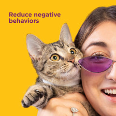 Comfort Zone Cat Calming Collar : 30-Day Calming Collar; Cat Pheromones Help Anxiety, Reduce Stress, Urine Marking, Scratching; Indoor or Outdoor Cats; Long-Lasting