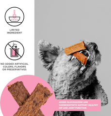 BIXBI Hip & Joint Support Salmon Jerky Dog Treats - USA Made Grain Free Dog Treats - Glucosamine, Chondroitin for Dogs - High in Protein, Antioxidant Rich, Whole Food Nutrition, No Fillers