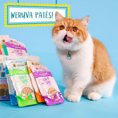 Weruva Wet Cat Food, Love Connection with Chicken and Salmon Pate (Pack of 12)