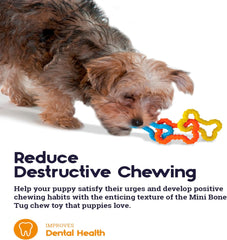 Petstages Mini Bone Tug Puppy Chew Toy