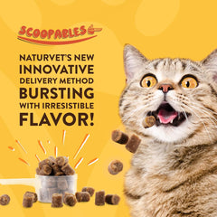 NaturVet Scoopables Quiet Moments Cat Calming Aid - Promotes Calm with Stressful Events Storms, Fireworks, Travel, Separation Anxiety - Cat Health Supplement w/Melatonin - Salmon Flavored