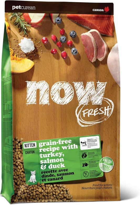 Now Fresh Grain-Free Dry Kitten Food with Turkey, Salmon & Duck, Healthy Kibble for Growing Cats with Real Meat & Fish, Chicken-Free, with Pumpkin & Probiotics for Sensitive Stomachs, 3 lb Bag