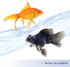Aqueon Nutrinsect Fish-Free Fish Food, Goldfish Pellets, 1.76 oz