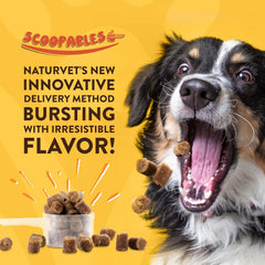 NaturVet Scoopables Quiet Moments Dog Calming Aid for Dogs - Promotes Calm with Stressful Events Like Storms, Fireworks, Travel, Separation Anxiety - Hickory Smoked Bacon Flavored