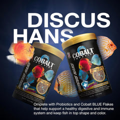 Cobalt Aquatics Discus Hans Flake - Advanced Nutrition for Vibrant Discus - Salmon Meal, Probiotics & Blue Flakes - Supports Health & Immunity