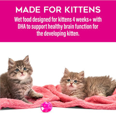 Tiki Cat Baby Pate Wet Cat Food for Kittens Variety Pack
