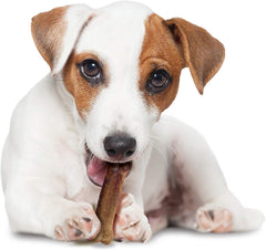 Nylabone Healthy Edibles Natural Dog Chews Long Lasting Bacon Flavor Treats for Dogs