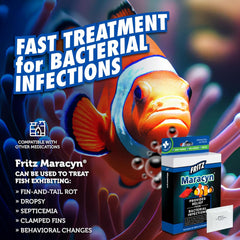 Fritz Maracyn - for Saltwater and Freshwater gram-Positive Relief from Bacterial gil, Popeye, More - Easy dose Packets
