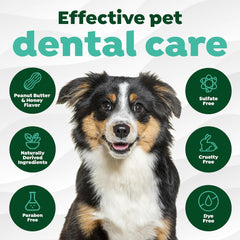 TropiClean Fresh Breath - Dog Toothpaste - Dog Teeth Cleaning Peanut Butter & Honey Flavor