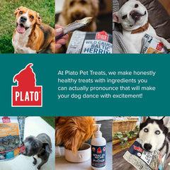PLATO Pet Treats Fish Dog Treats - Air-Dried, Single Ingredient Dog Treat - with Omega 3 & 6 Fatty Acids to Support Skin and Coat - 100% Whole Fish - Wild Caught Baltic Herring Dog Treats