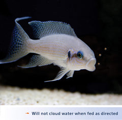 Aqueon Cichlid Food