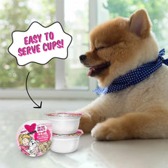 Weruva Best Fido Friend Fun Size Meals for Dogs, Im in Luck 2.75-oz(Pack of 12)