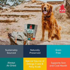 PLATO Pet Treats Fish Dog Treats - Air-Dried, Single Ingredient Dog Treat - with Omega 3 & 6 Fatty Acids to Support Skin and Coat - 100% Whole Fish - Wild Caught Baltic Herring Dog Treats